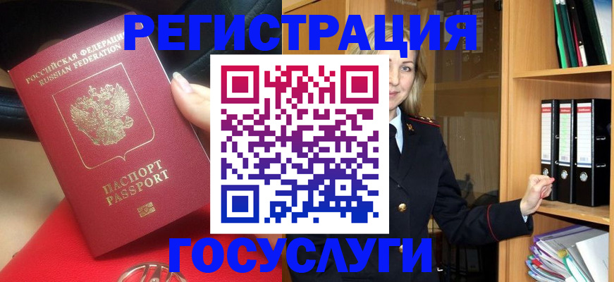 прописка поиск в Купино